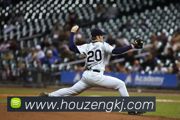 半岛官网网页版入口平台生态图